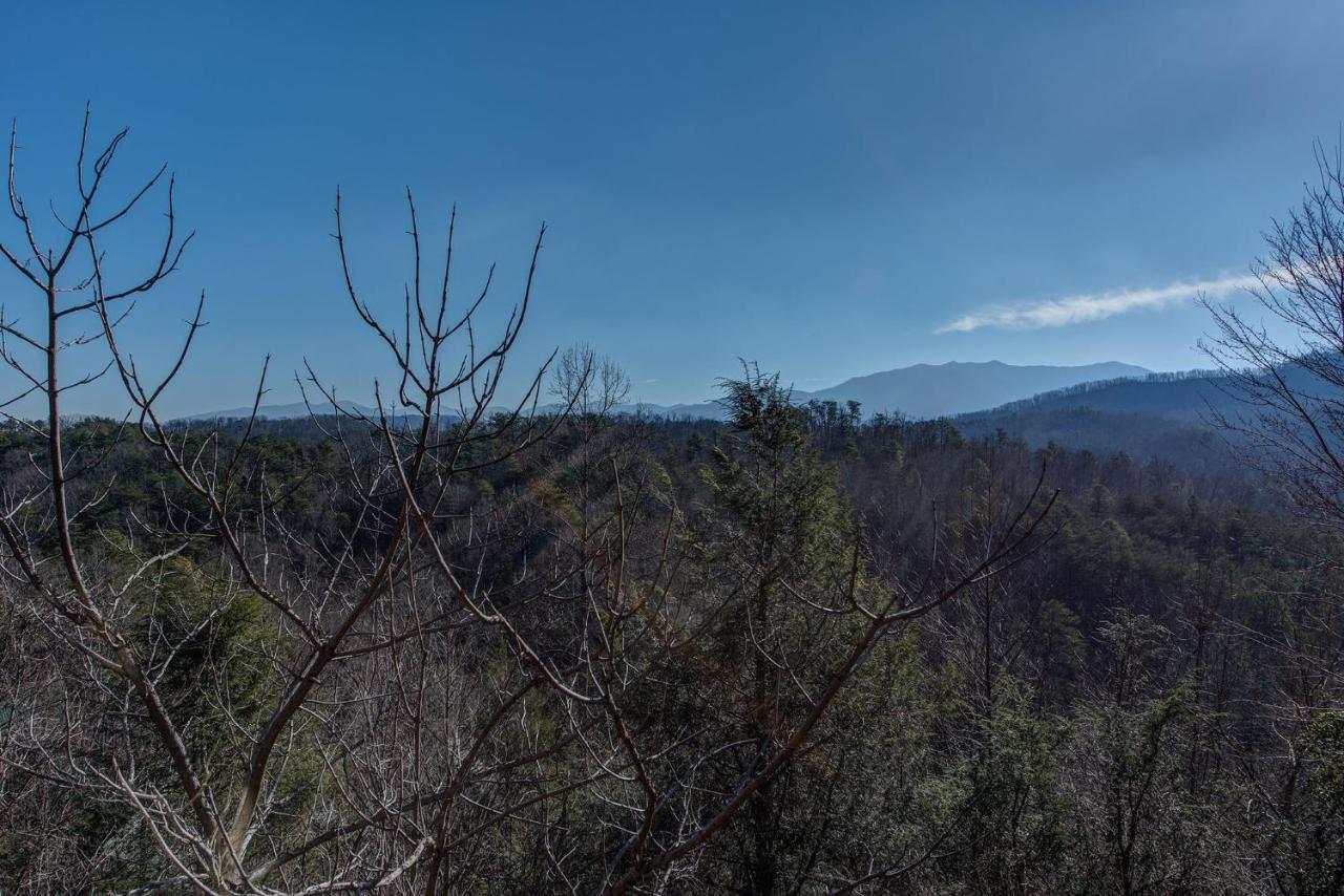 Aspens Envy Apartment Pigeon Forge Luaran gambar